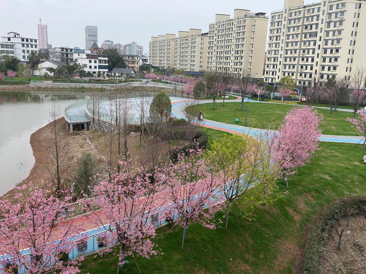 人的命，天注定！
昨天邂逅一位命好的女同学，六零后，今年58岁，她只上班10年就