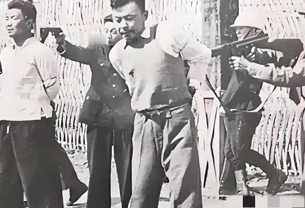 1941年，被枪毙的地下党宋更新死而复生，一路爬到弟弟家，对吓呆了的弟媳说：“快