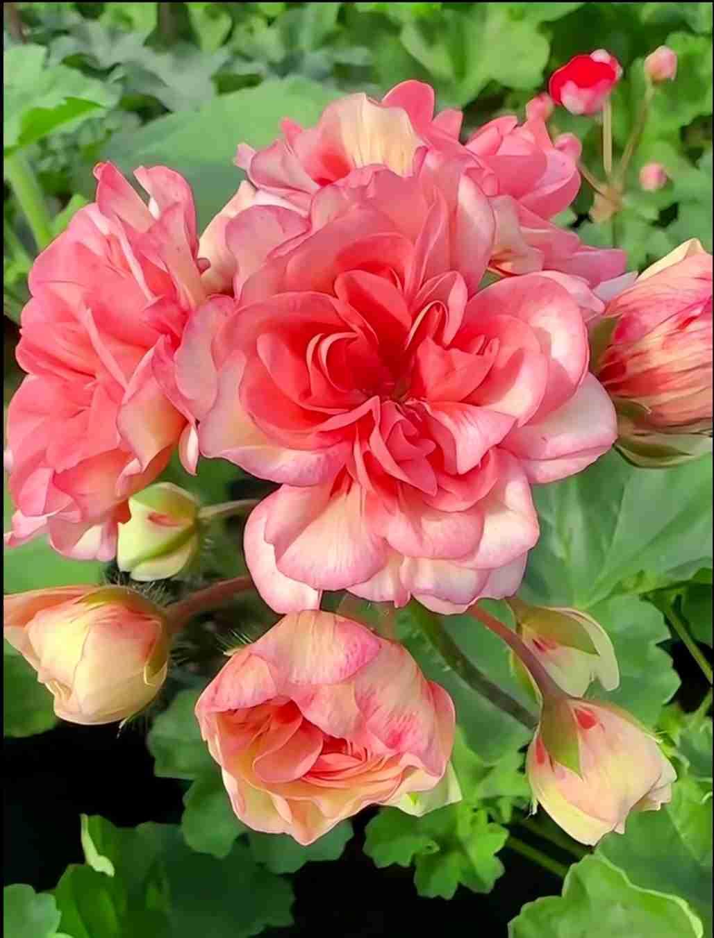 我的今日状态：😁轻松愉快
我这里的天气：☀️晴转多云，气温零下3至零下9℃，是