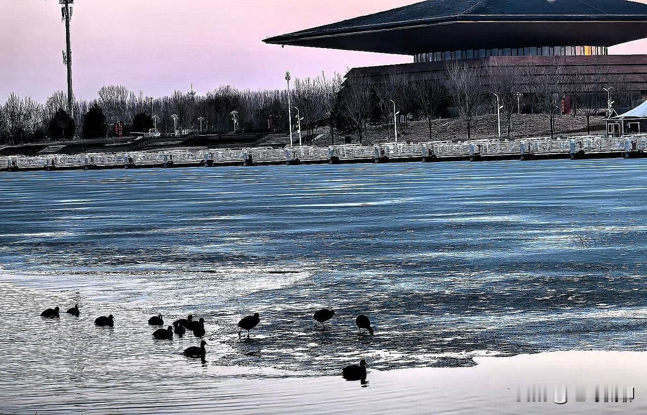 这里是完整的安新八景（古称新安八景，源自安新县旧志，兼具自然与人文胜迹），并附简