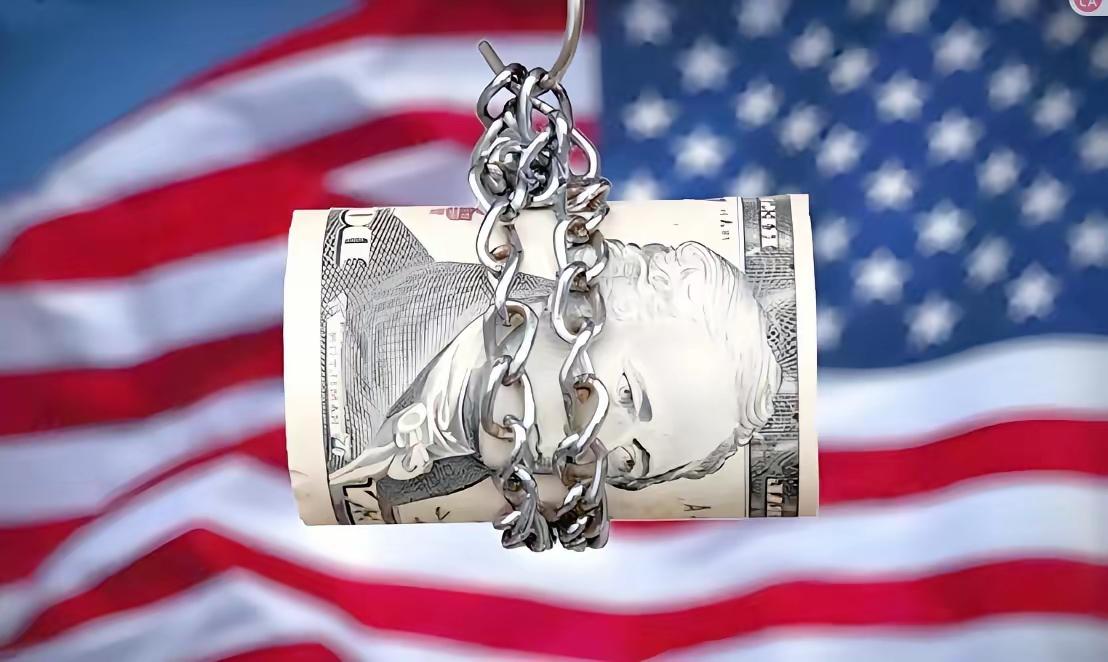 听说训练一只导盲犬要200多万，可以工作12年，一年差不多20万，一个月将近两万