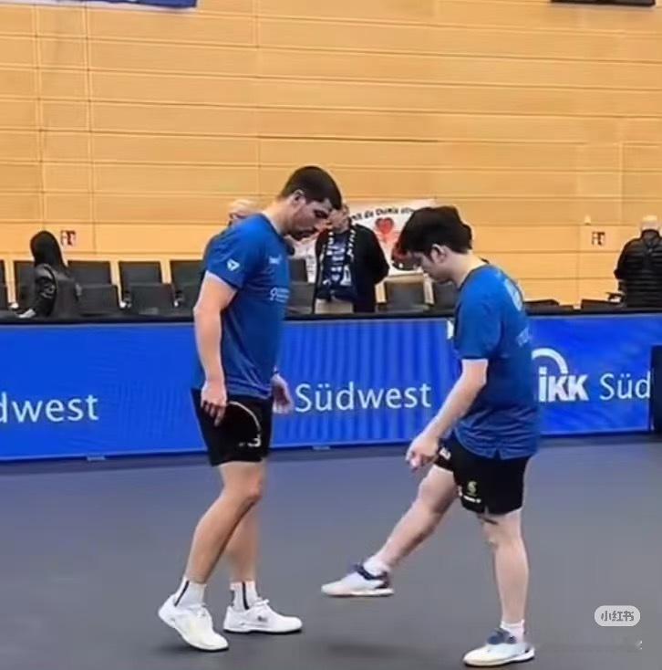 谁，谁说我们在比腿长？