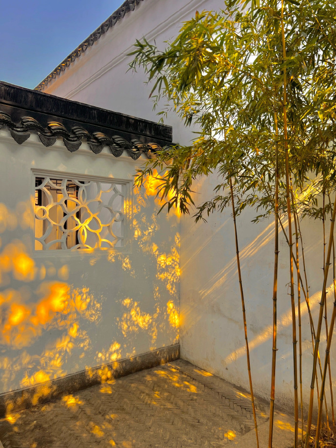 终于明白了古人为何偏爱竹🎋 