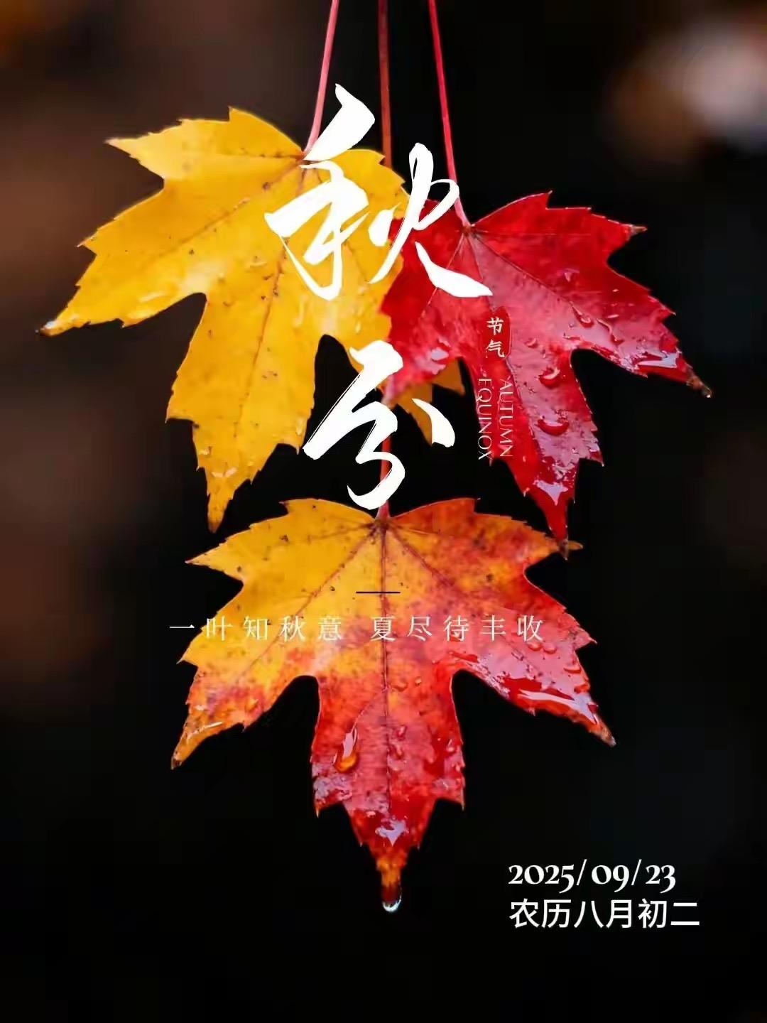 《今日秋风》
秋风乍起叩窗轻，黄叶翩跹舞砌庭。
遥见云边雁成字，忽惊岁半夜寒生。