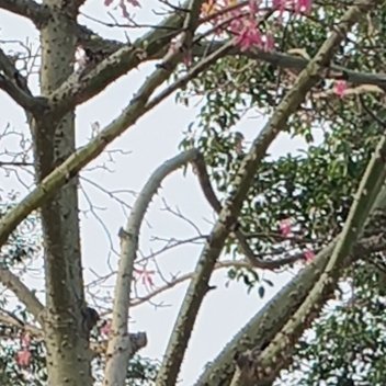 每日一善🌷阳光信用🌷每日一善 人生路上，要学会善待，善待他人，可以让人生走得