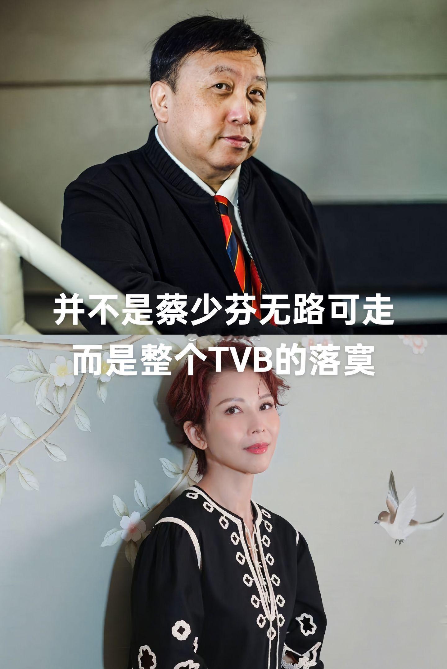 王晶前一段时间，吐槽蔡少芬是在tvb无路可走，才转战内地市场，还说她消费的是情怀