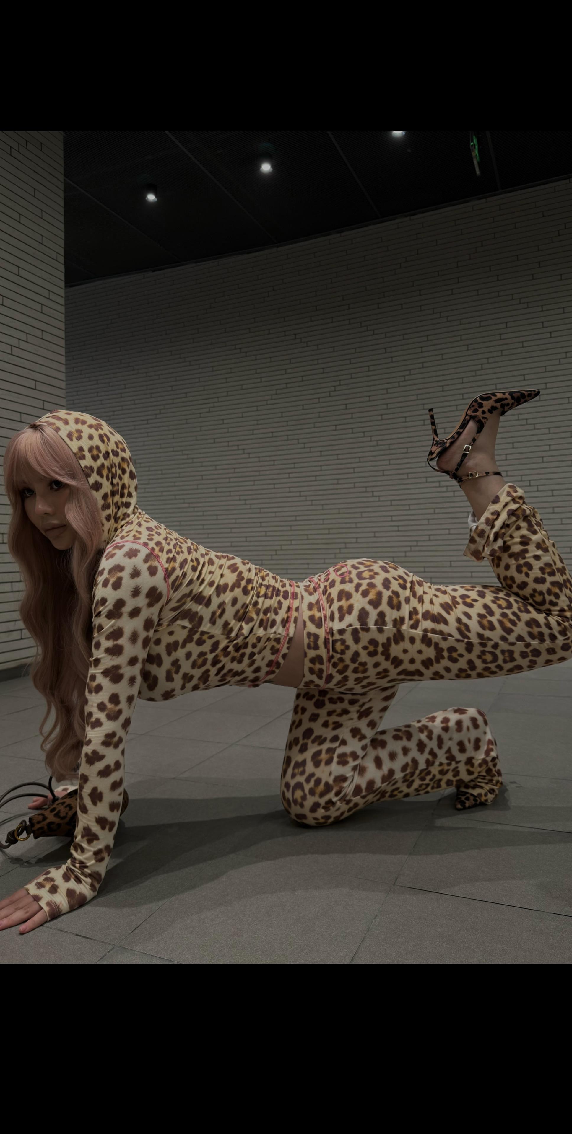 豹富🐆。