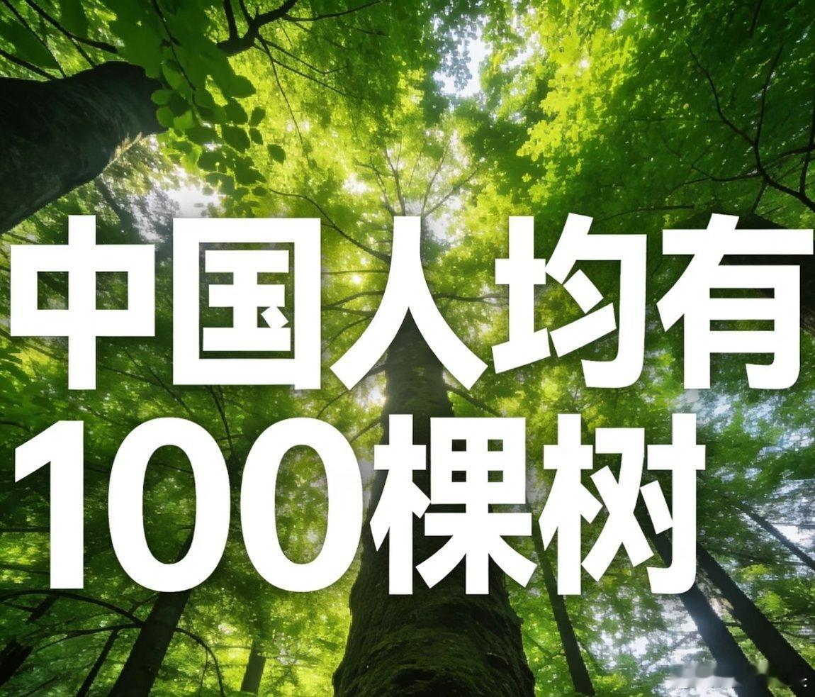 我国人均有100棵树做环保，我们从来都不是说说而已的，而是脚踏实地地去做。