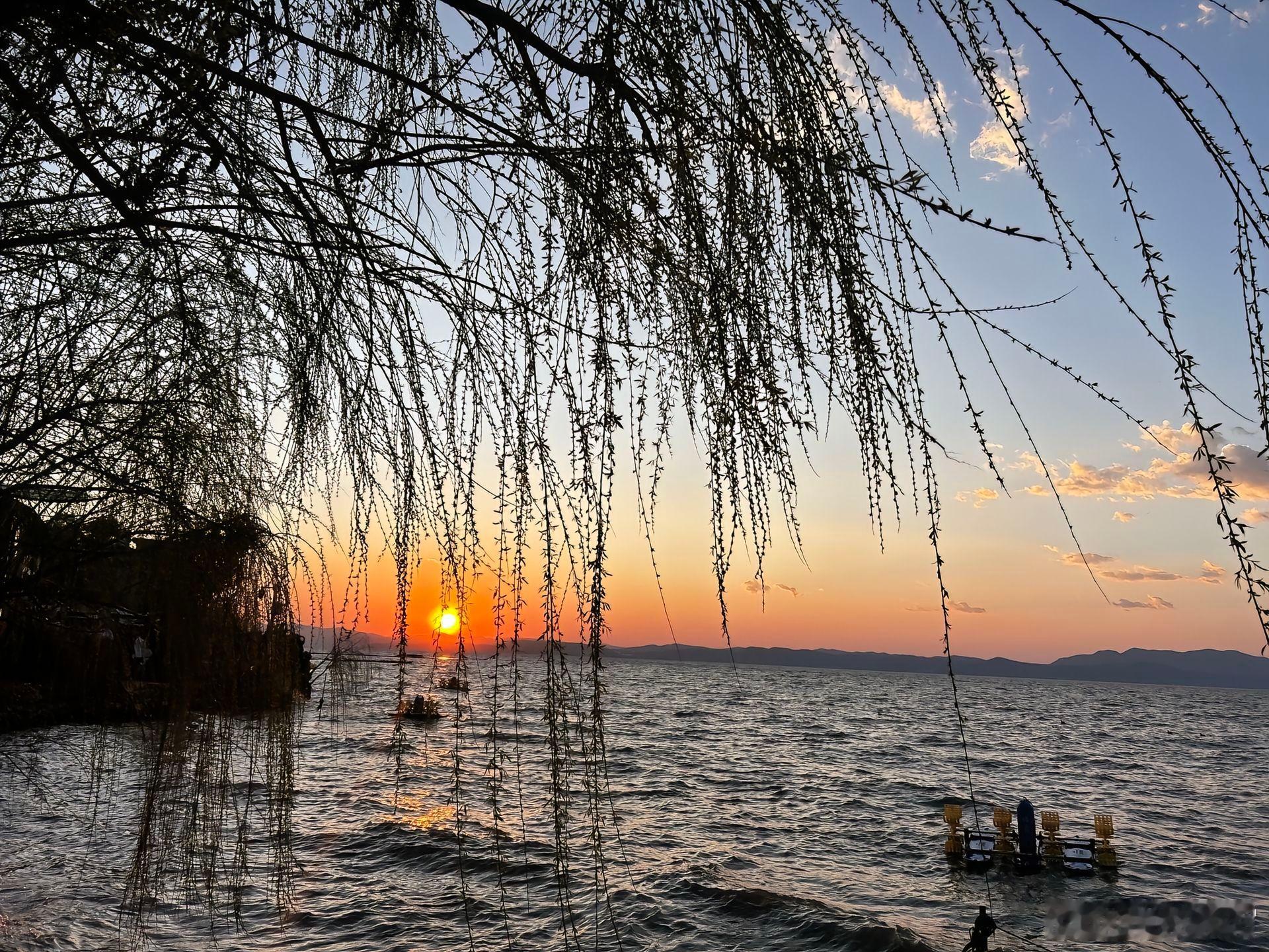 随手拍你看透了人间冷暖，却学不会铁石心肠，你活的通透清醒，却抵不过心软善良，有时