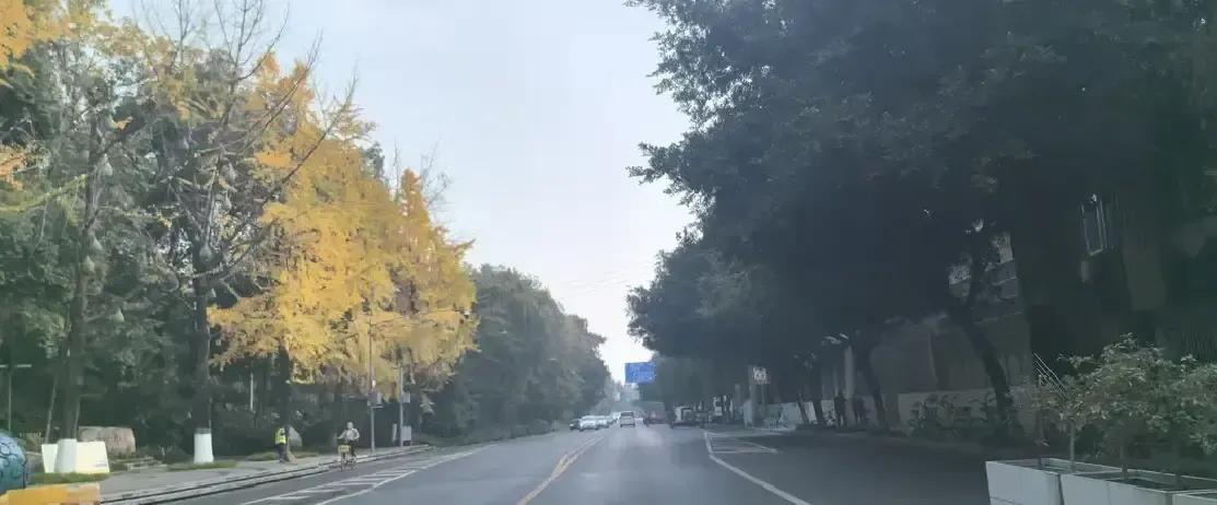 昨晚我绕湖慢跑五圈，全程闭嘴只用鼻子，心率稳稳压在135，喉咙一点没干。
风有点