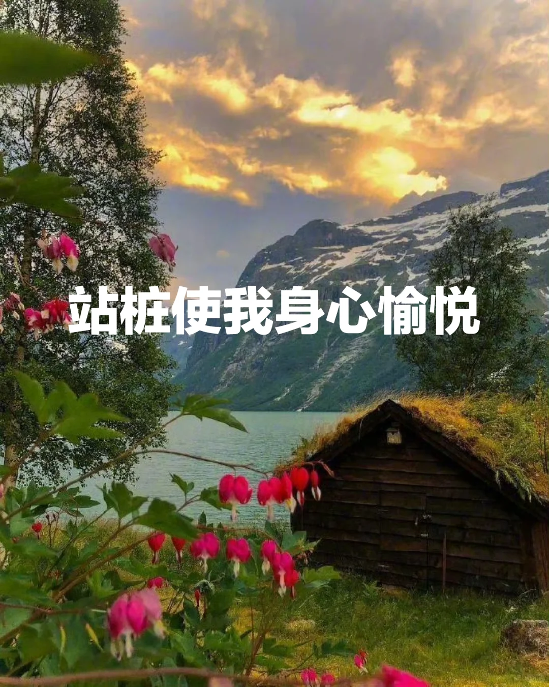 站桩收获身心健康