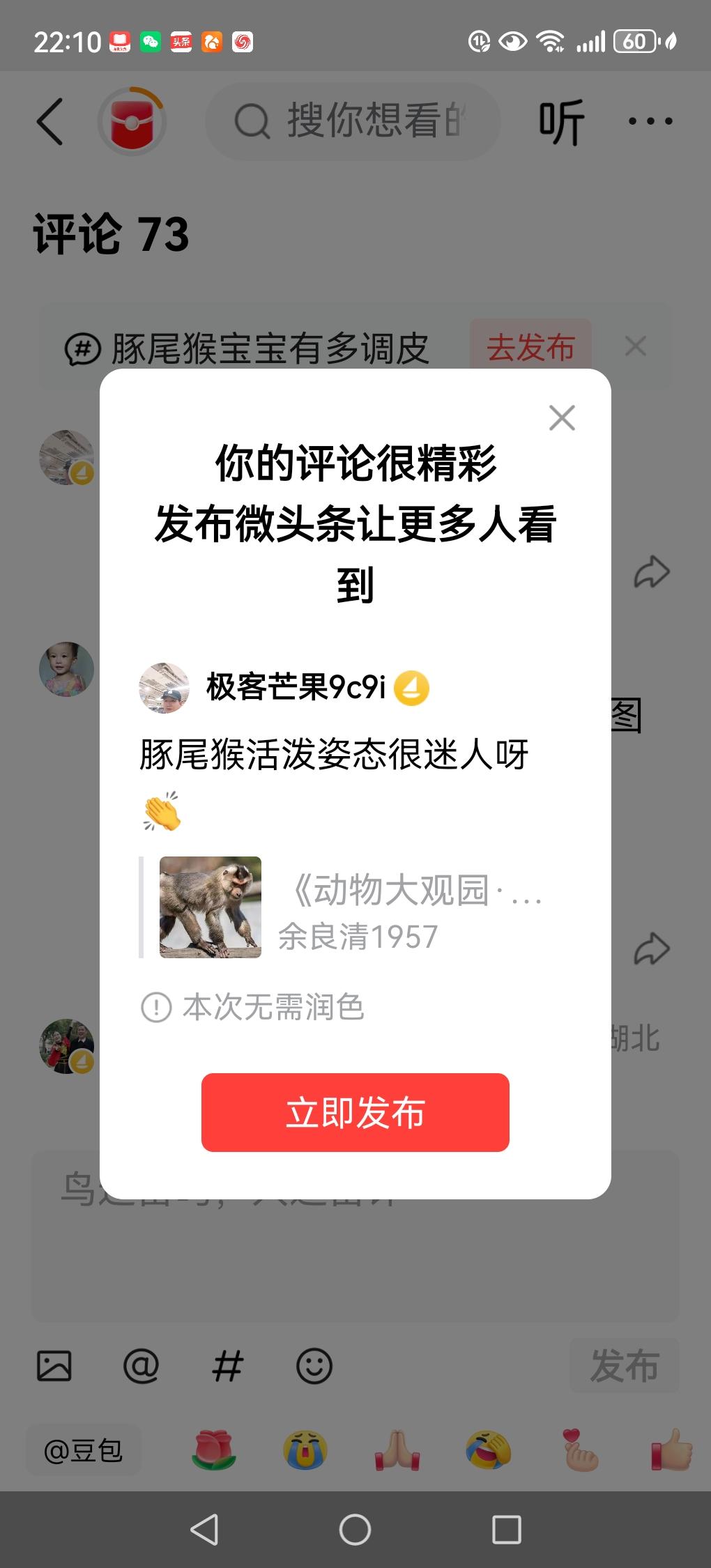 豚尾猴活泼姿态很迷人呀👏