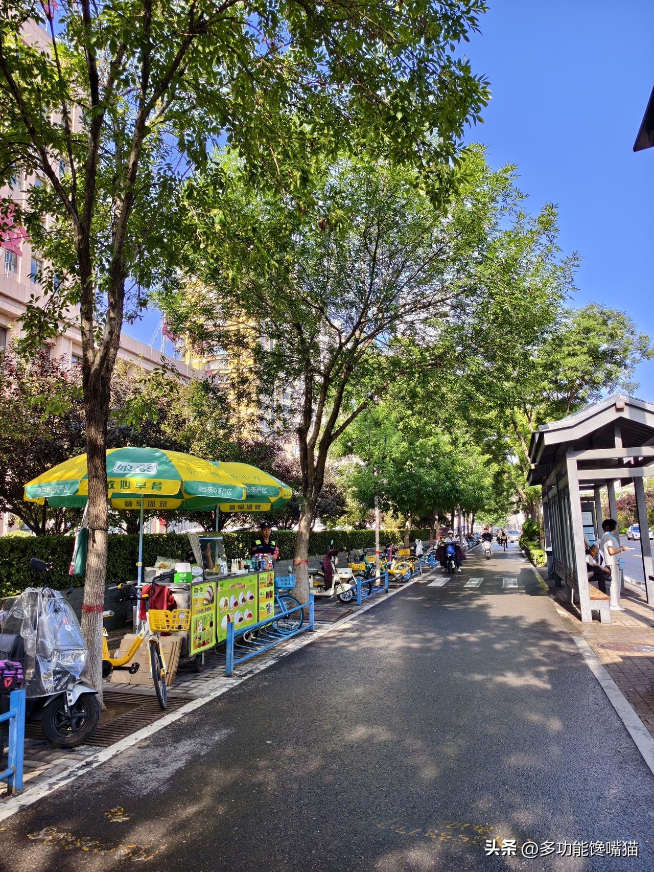 山西偏关猫姐太原陪护日记，昼夜的精心呵护，病人可以独立下楼去餐厅吃饭了，猫姐也被