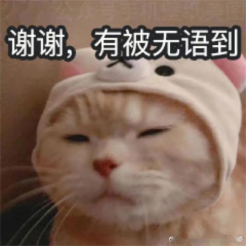 广州小孩哥坐地铁上学睡过23个站义务教育还能规范放学时间，现在高中在校时间从早7