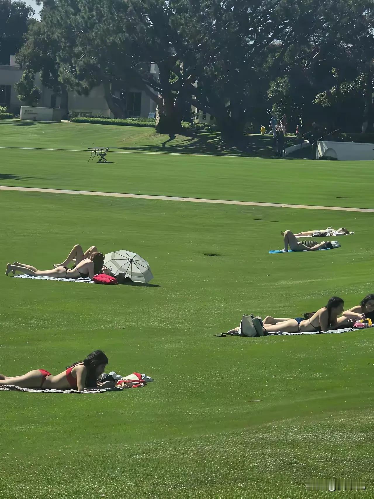 美国人民确实相当开放，大学里都到处是这种场景，这要去美国留学，哪有心思学习啊，乱