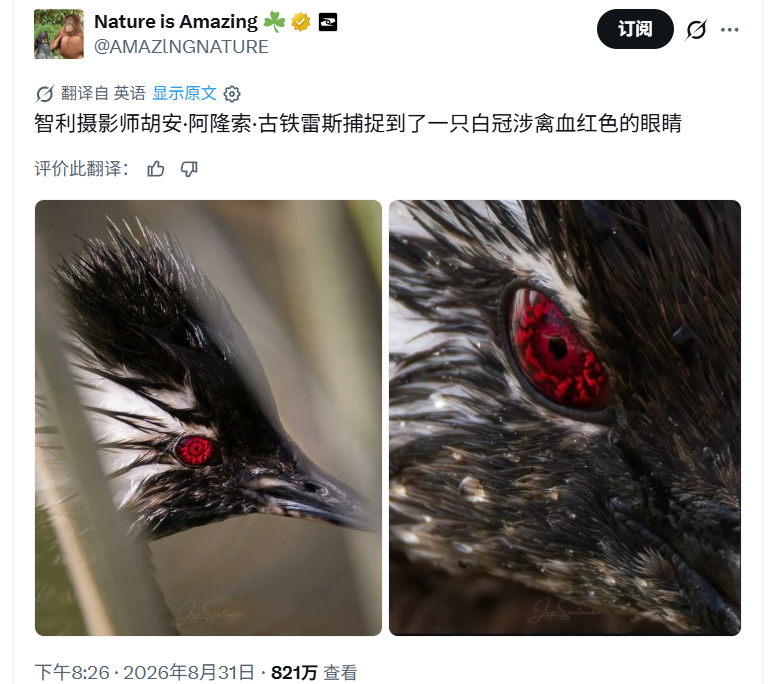 什么血轮眼？[哆啦A梦吃惊] ​​​