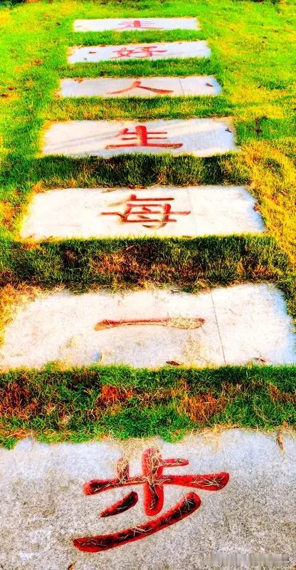 教育反思录（996）
一个普通的孩子
人生路径是模式化的
出生后
上幼儿园
然后
