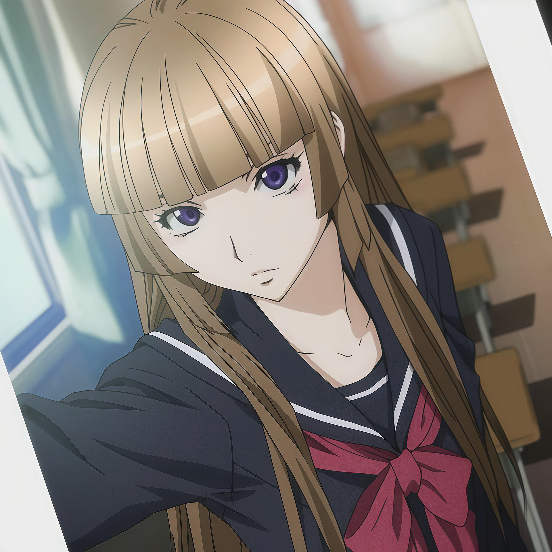 谁还记得我们不破爱花 