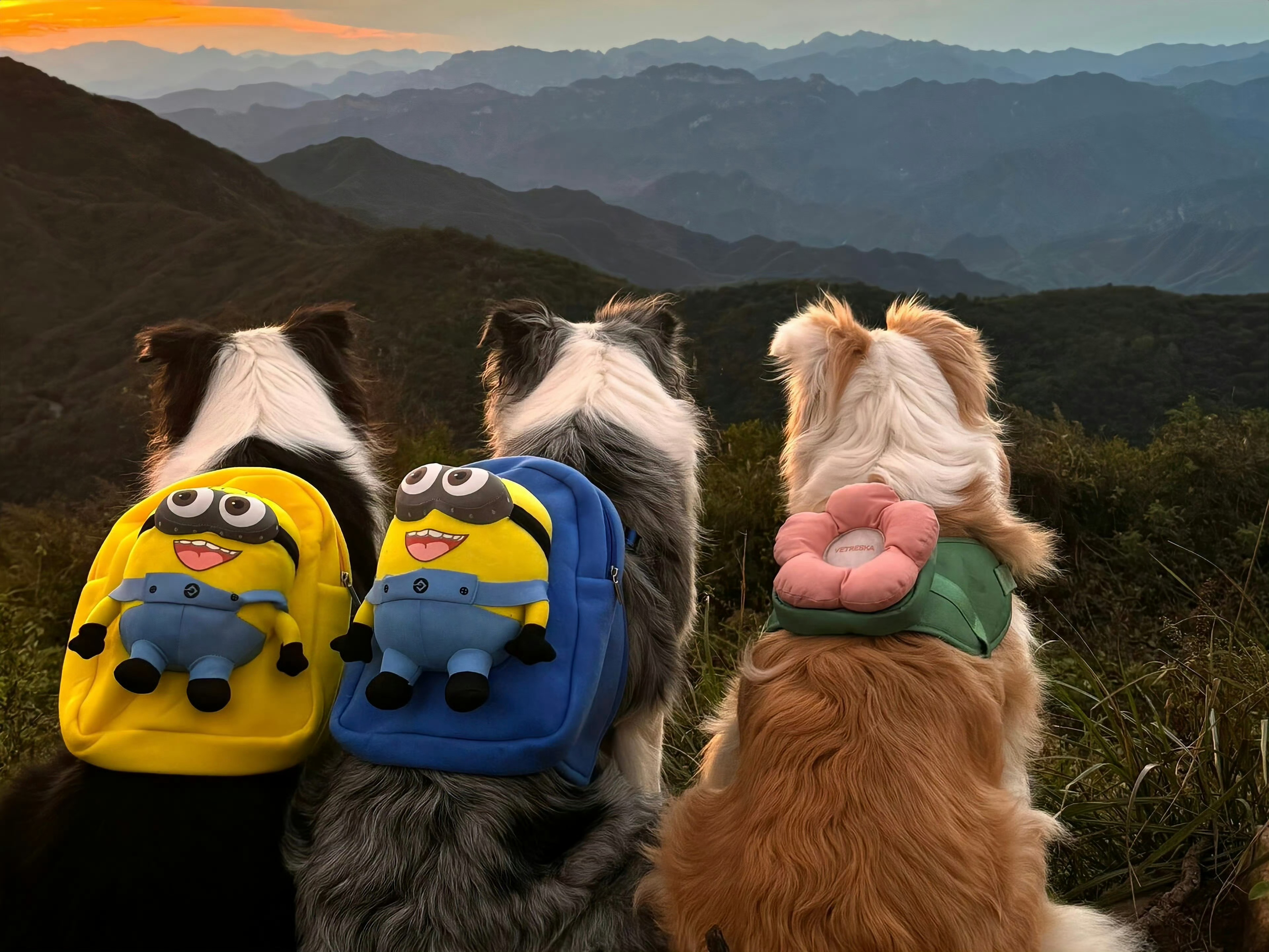 #晨璐未晞侦探社[超话]# 看见这张图，突然想到前几天请闺蜜吃饭，闺蜜出门前她妈