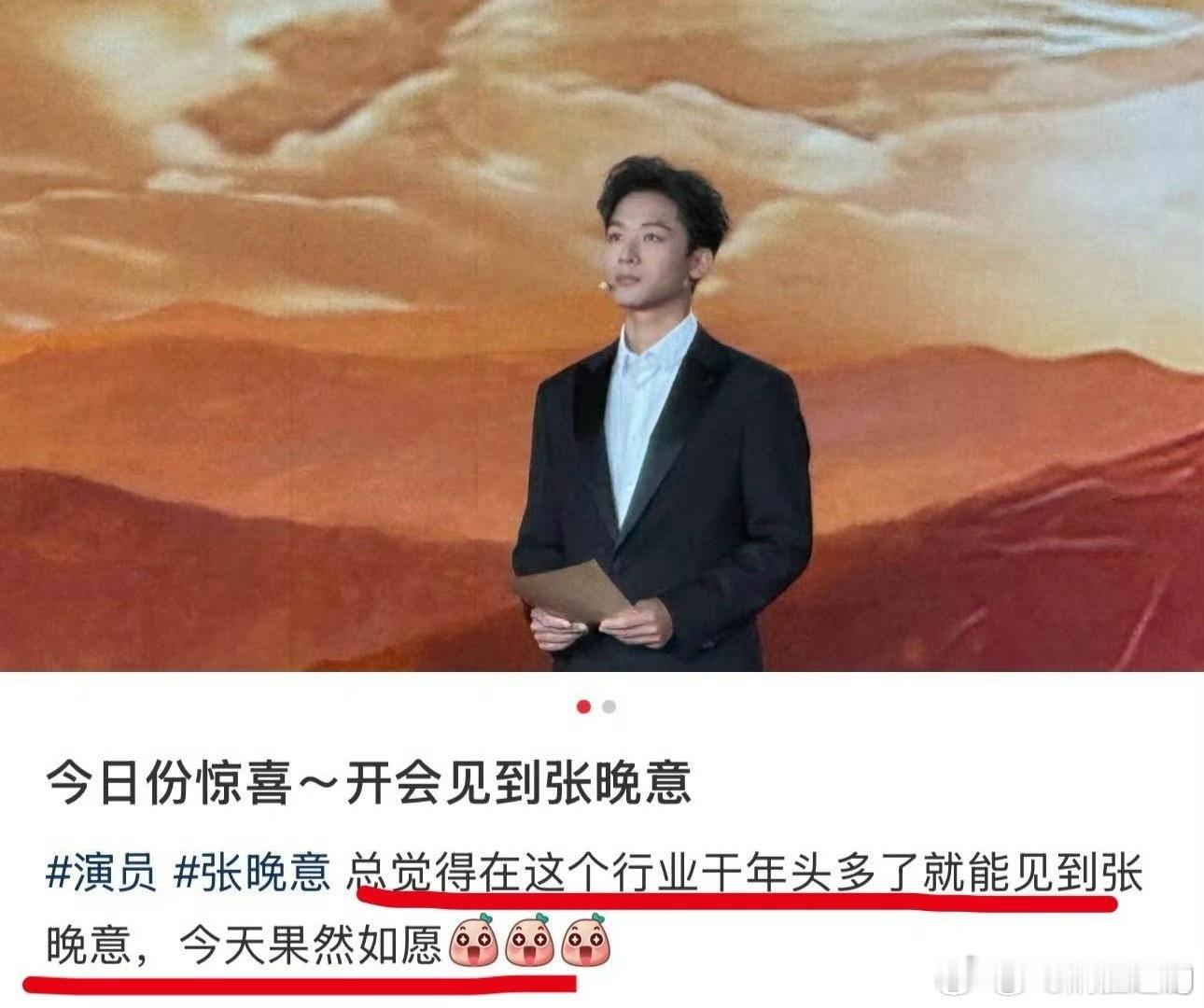 张晚意今日亮相央视2026节目的发布会，宣传总台明年的重点大剧《伟大的长征》[彩