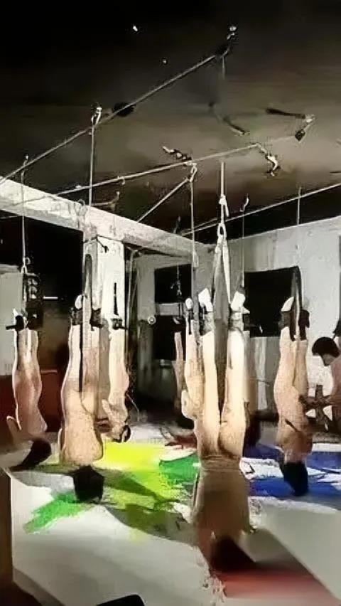 “这也能叫展？”我盯着那张照片——十几名女生被倒吊，表情扭曲得像被拧干的毛巾。下