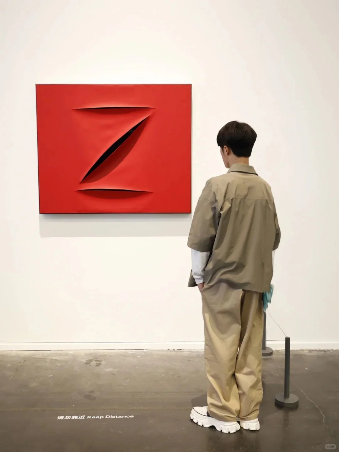 壁纸 | 图片