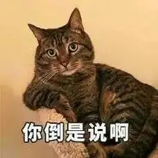 多少人跟我一样想问问那些法学人，法律人、司法人，这也国际接轨那也国际接轨，怎么《