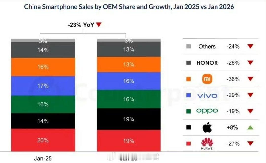 华为获1月中国手机销量第一兄弟两个都占前2席位，不错不错新年开了个好头～ 