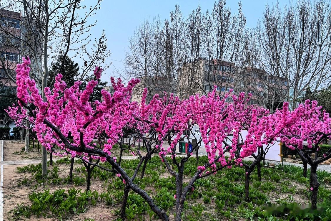 刚才门口保安和我抱怨说，现在工资不涨，物价却悄悄涨个不停。菜价、肉价、油价轮番波
