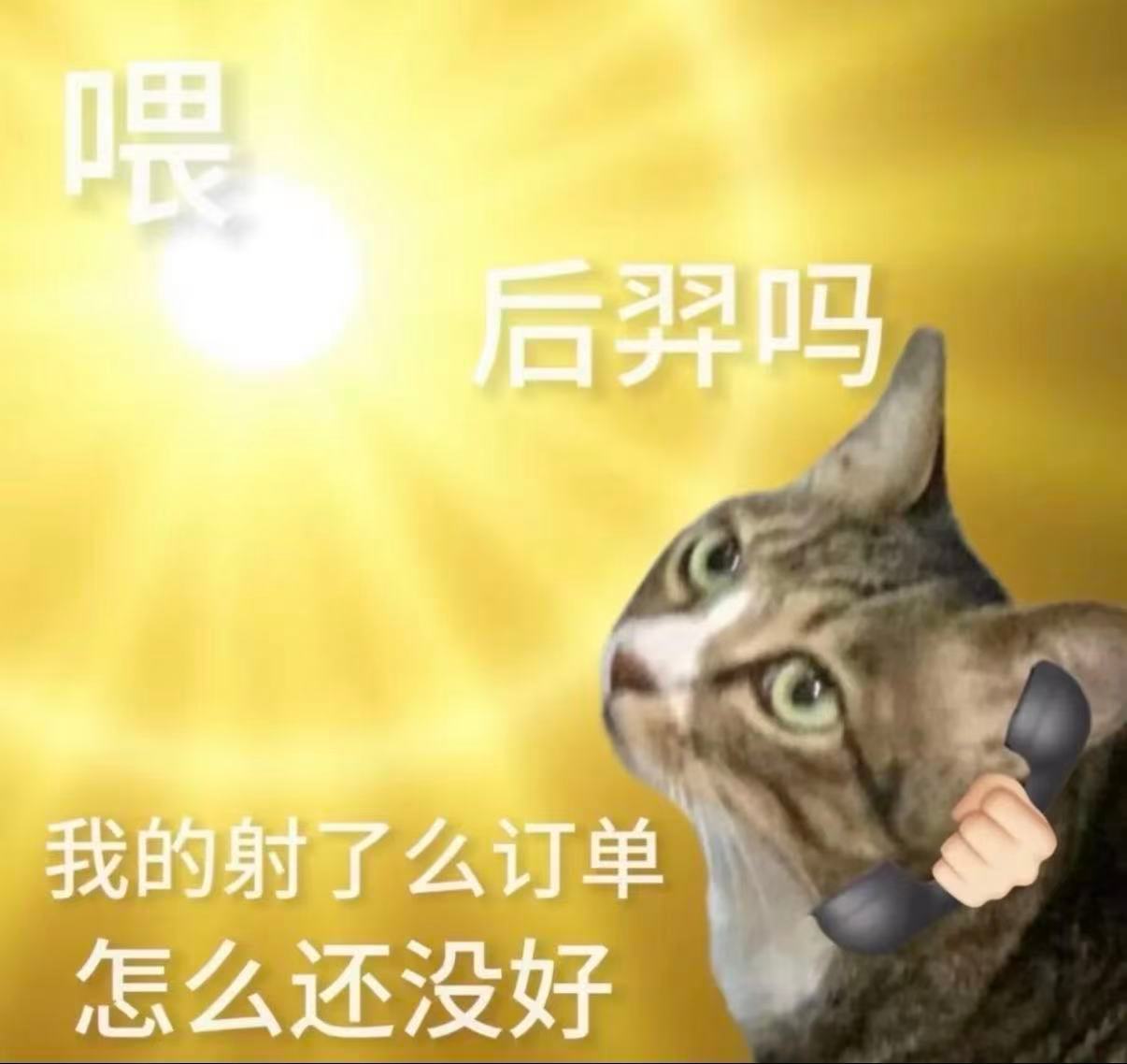 今年高温终于找到原因了 这天气高温到帽子都已经不运行了，CPU干爆了，有没有什么