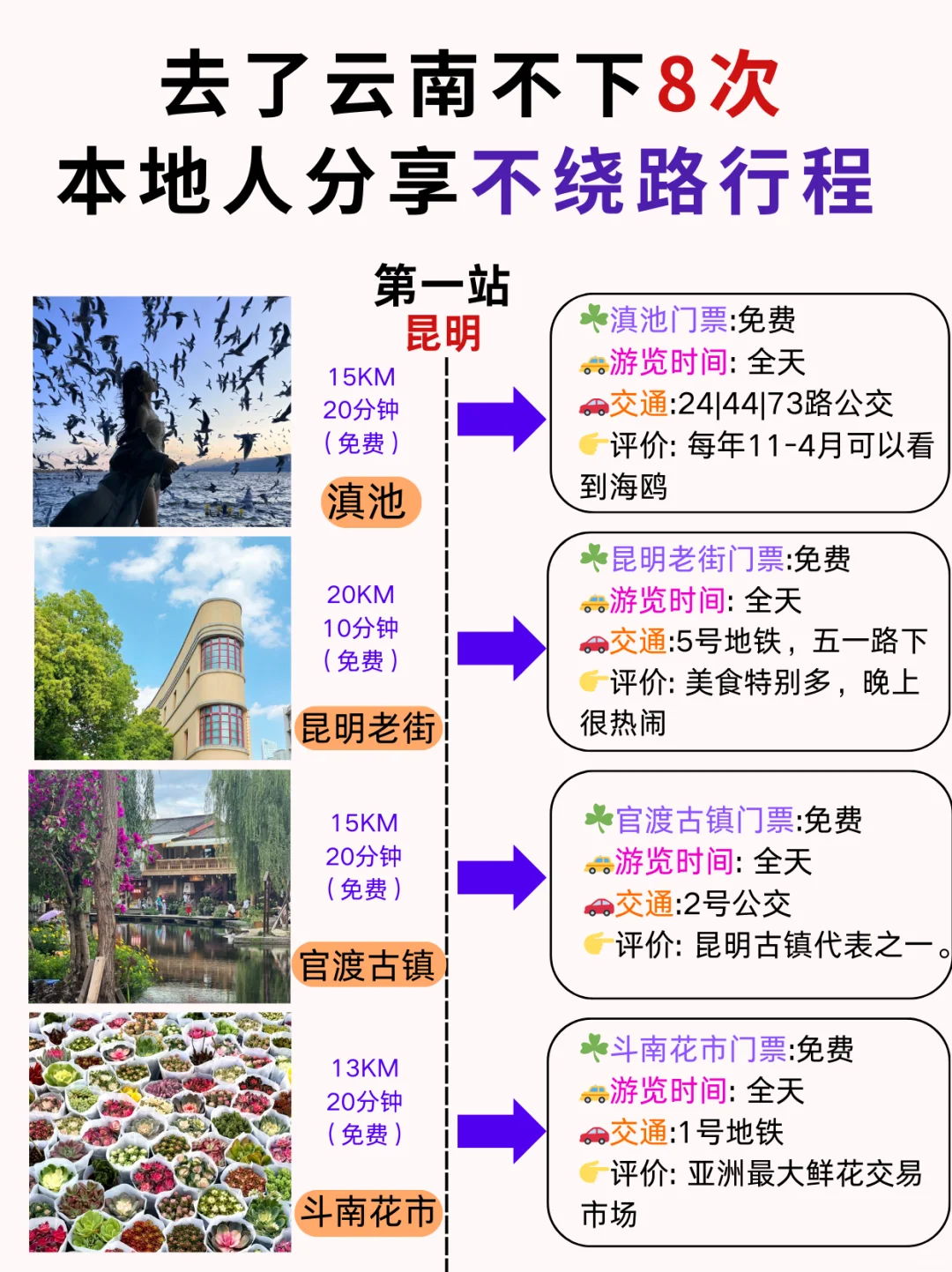 去云南不下8次❗本地人推荐这份不绕路行程