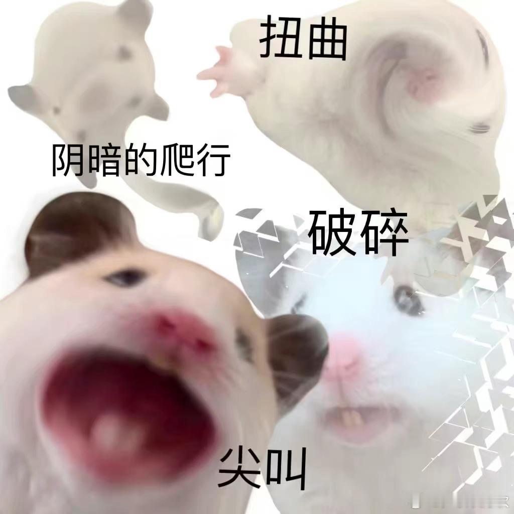 吃烫了在嘴里进行一系列翻炒活动略略略略