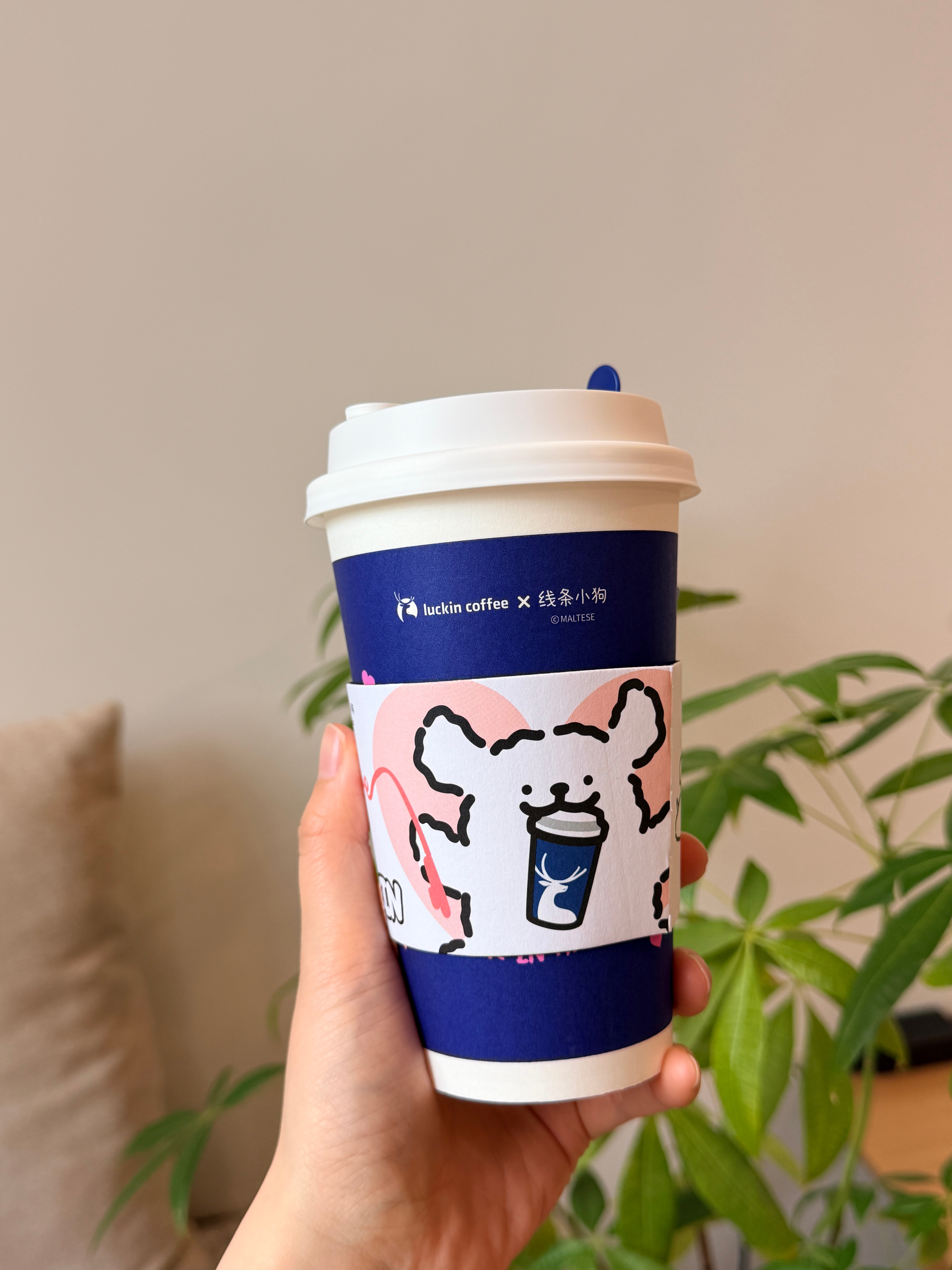 早！今天是咖啡因牛马