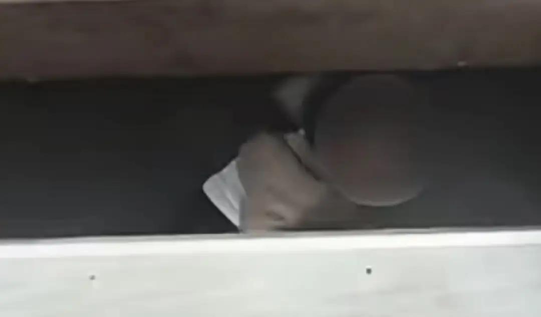 对话高铁站台跪地救下坠落女童的潮州校长：为人师先要树榜样
近日，广东东莞虎门高铁