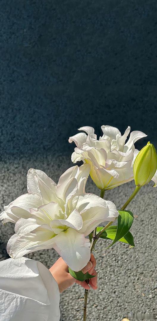 图灵塔罗  NPD是什么其实就是画皮就是夜半三更在门外故意说话让你心软的妖魔你不
