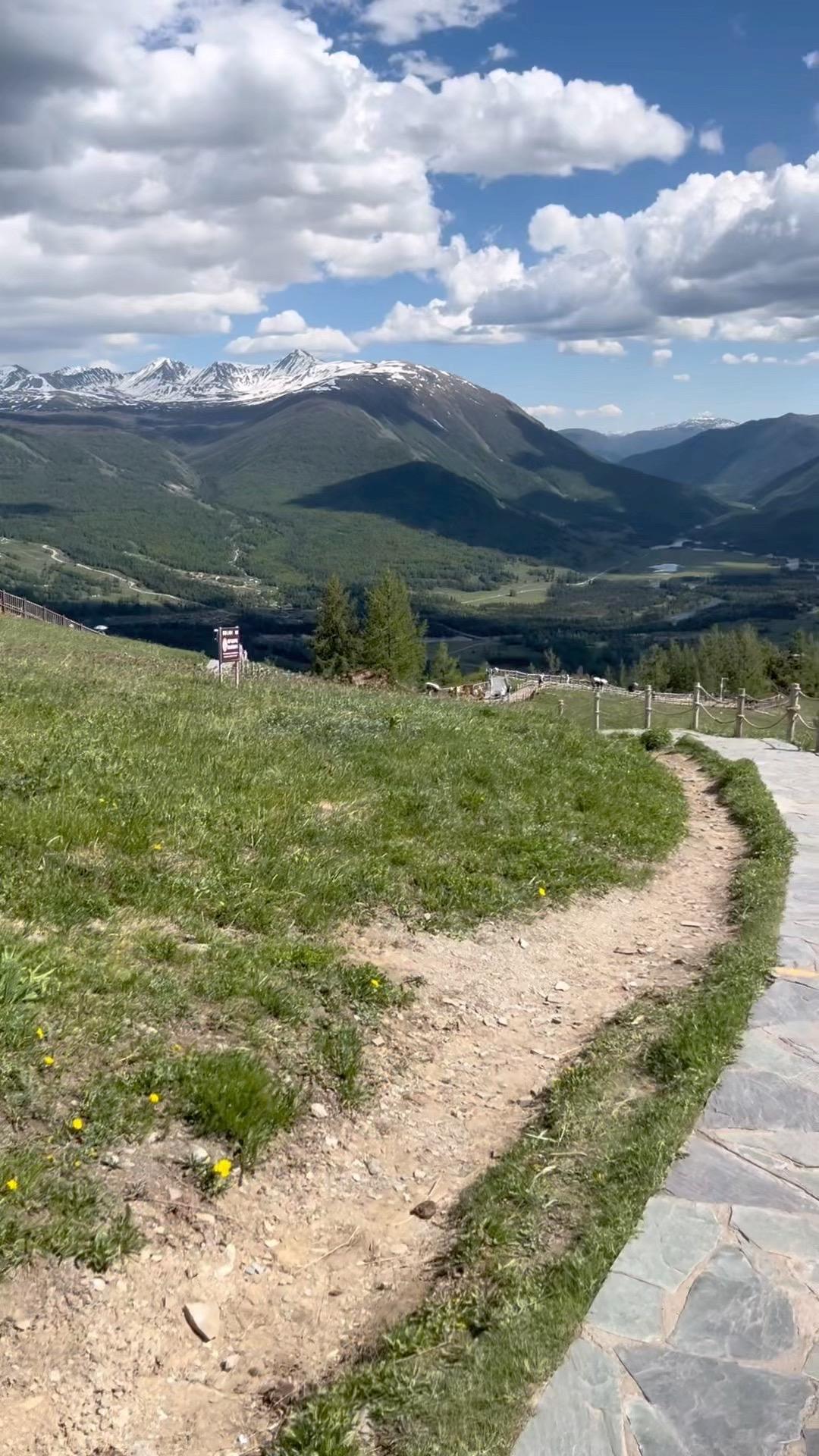 不要跟蠢人搭伙 不要跟他们一起创业、成为好朋友 更不要跟他们结婚  蠢...