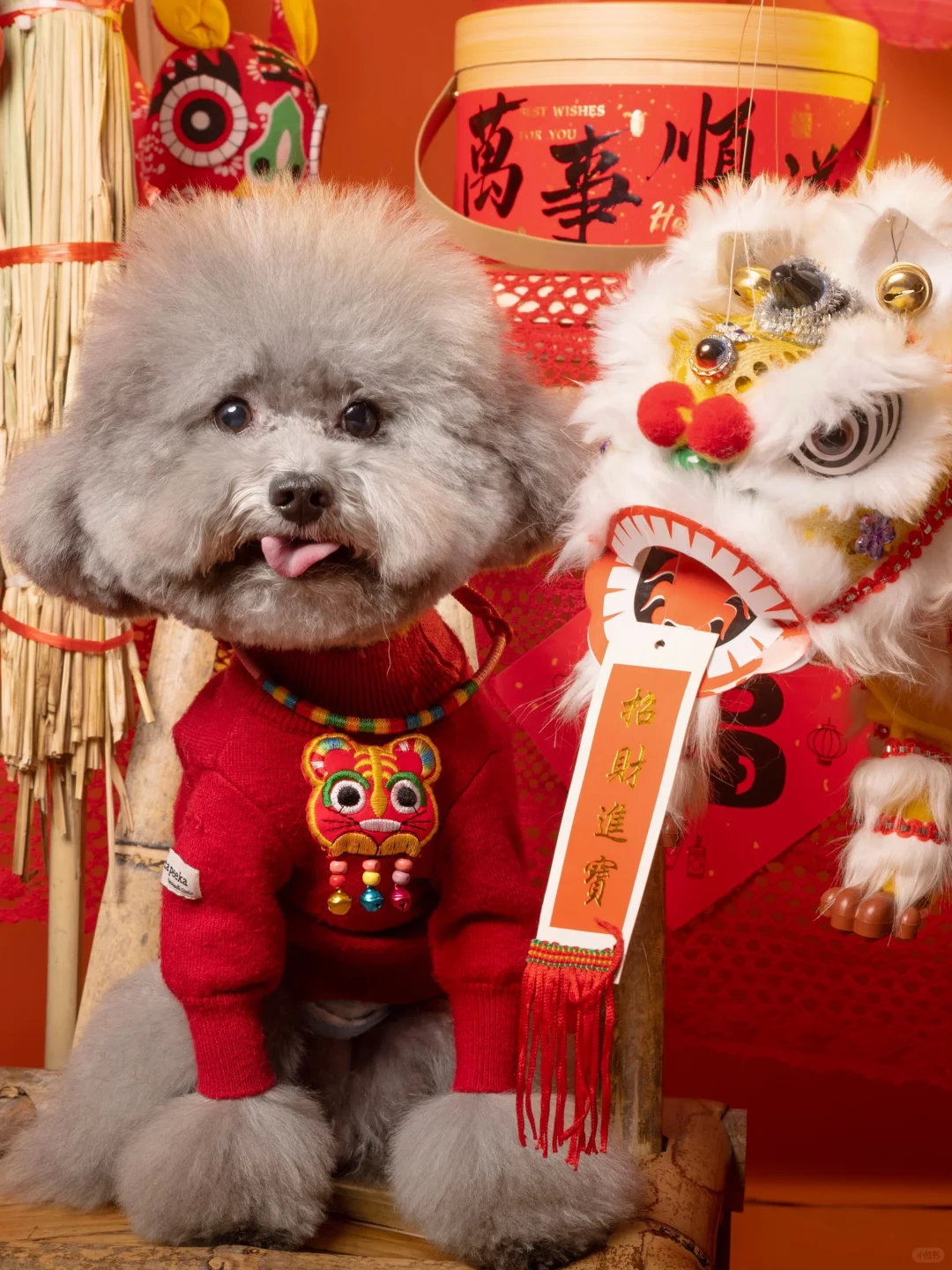 ㊗️小狗们🐍年健康快乐