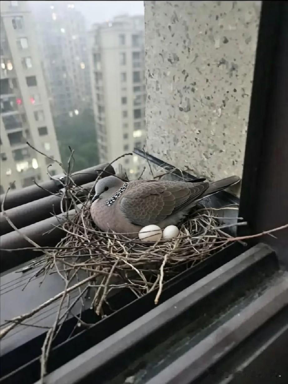 不打扰你