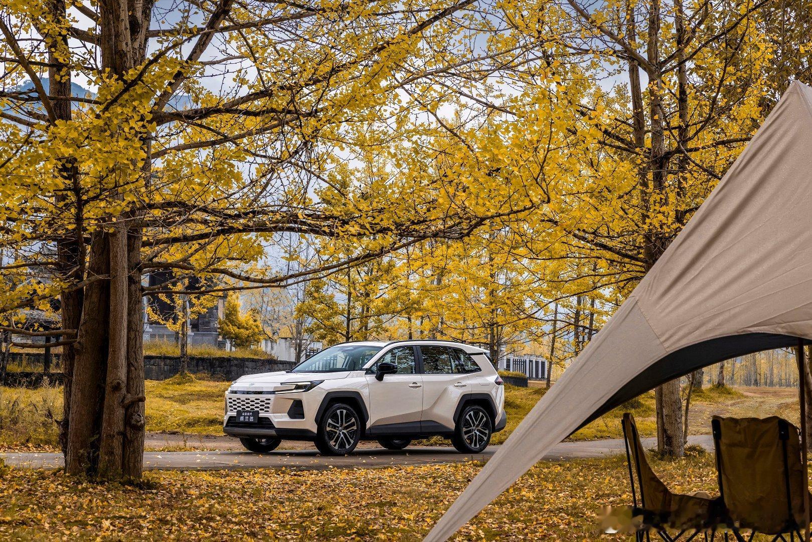 秋日有限定，惊喜无限量银杏树下，硬朗科技也很浪漫全新威兰达，今天14点见！