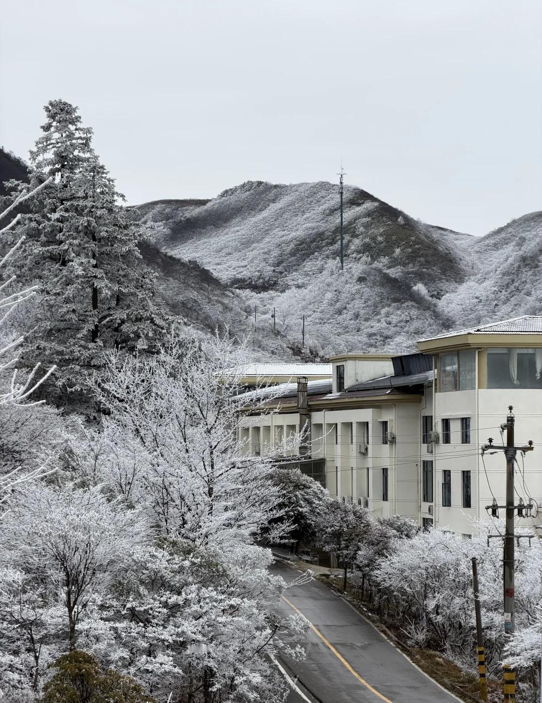 在长沙 | 2.1雪景live去不了北方就去山上
📍地址：大围山国家森林公园