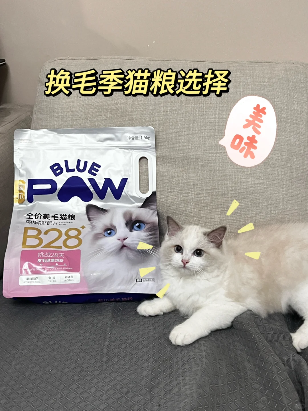 🐱猫毛满天飞？蓝爪猫粮拯救换季烦恼！