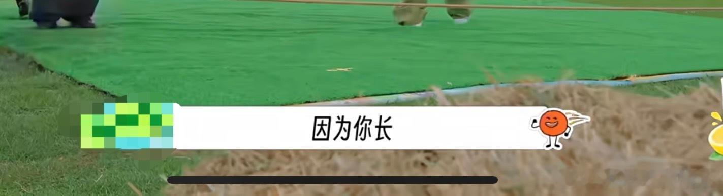 因为你长