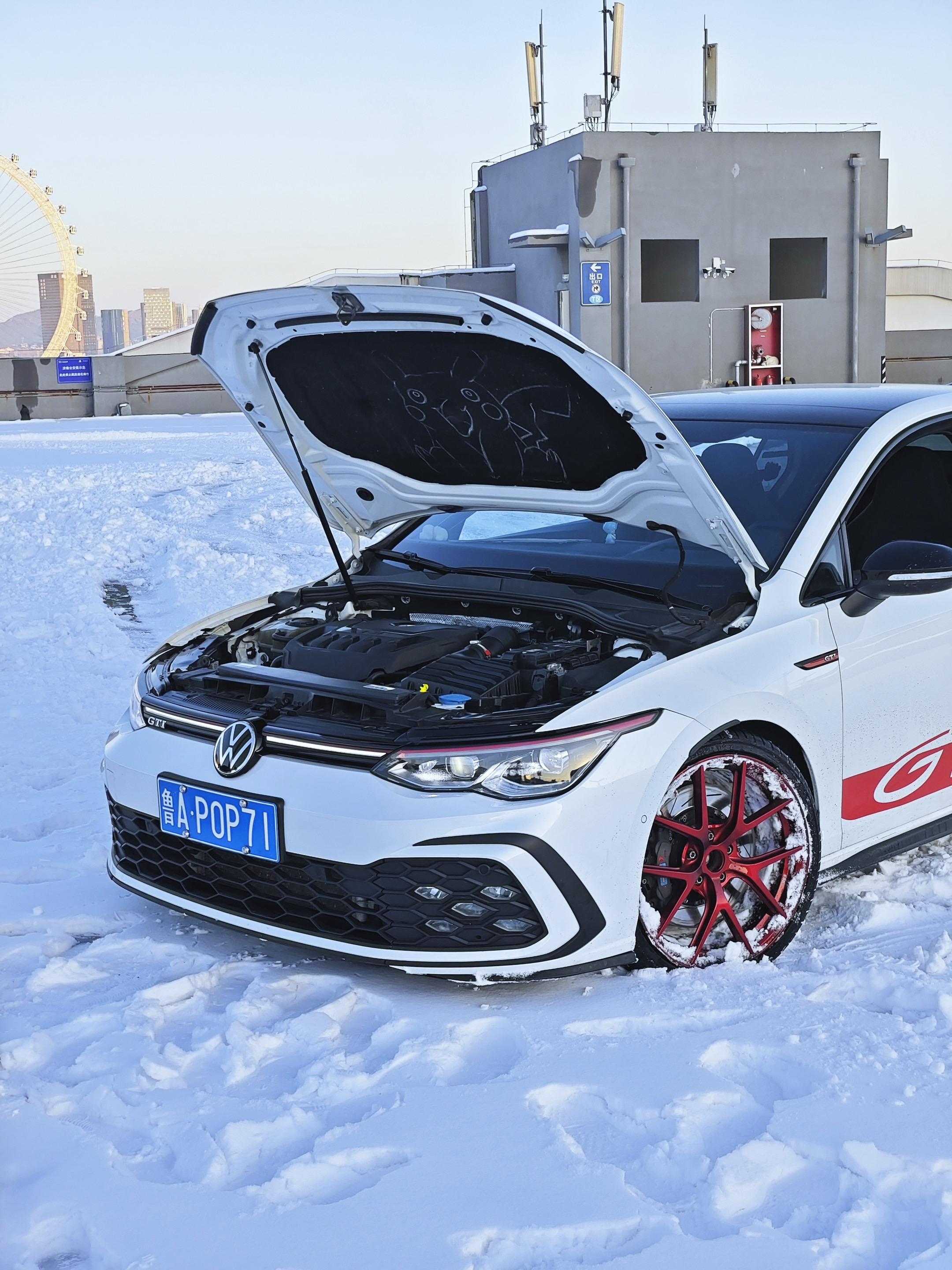 我称它为最美德国女孩