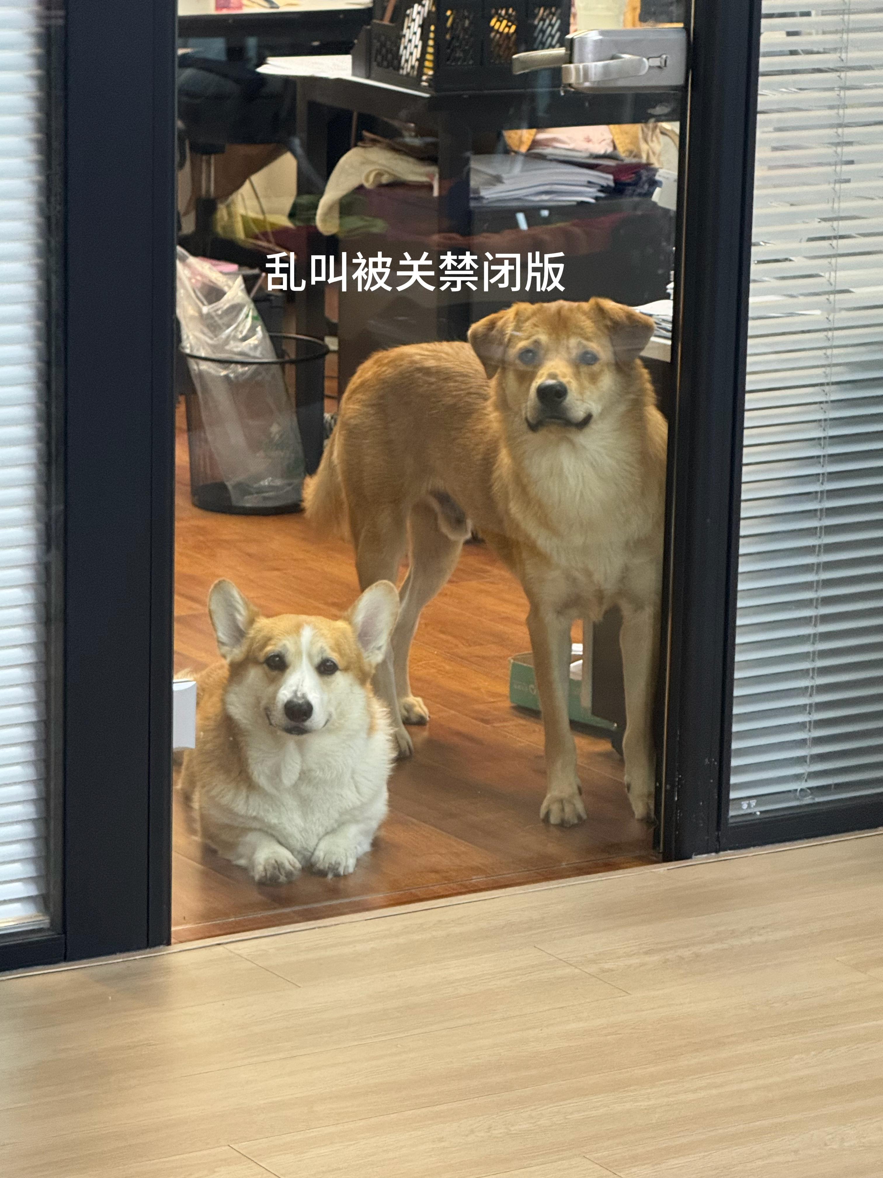 我的上班搭子们 ​​​