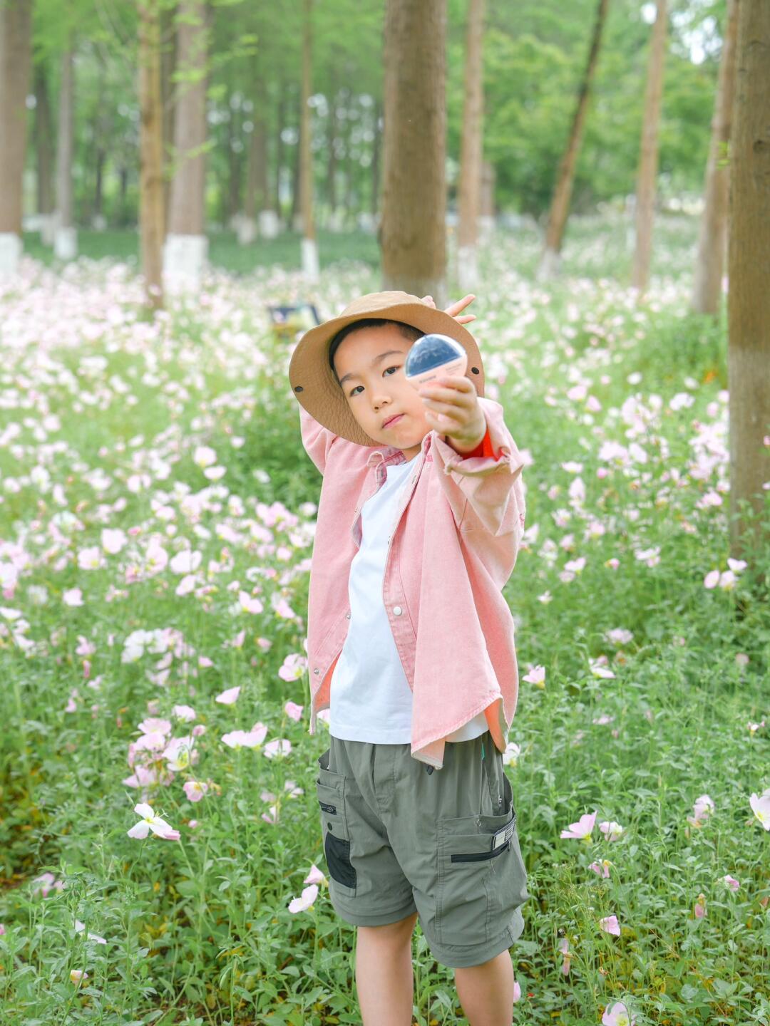 在乐清｜错过了这份月见草花可就要等一年喽