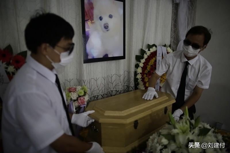 于东来称死后不办任何仪式 于东来称死后不办任何仪式，这波操作太酷了！3月10日，