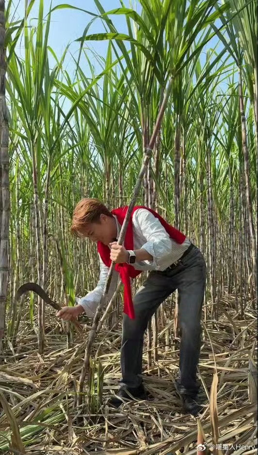 吴克群手写奖状被印上奶茶小票吴克群助农善举暖人心，手写奖状，以一杯奶茶之力，传递