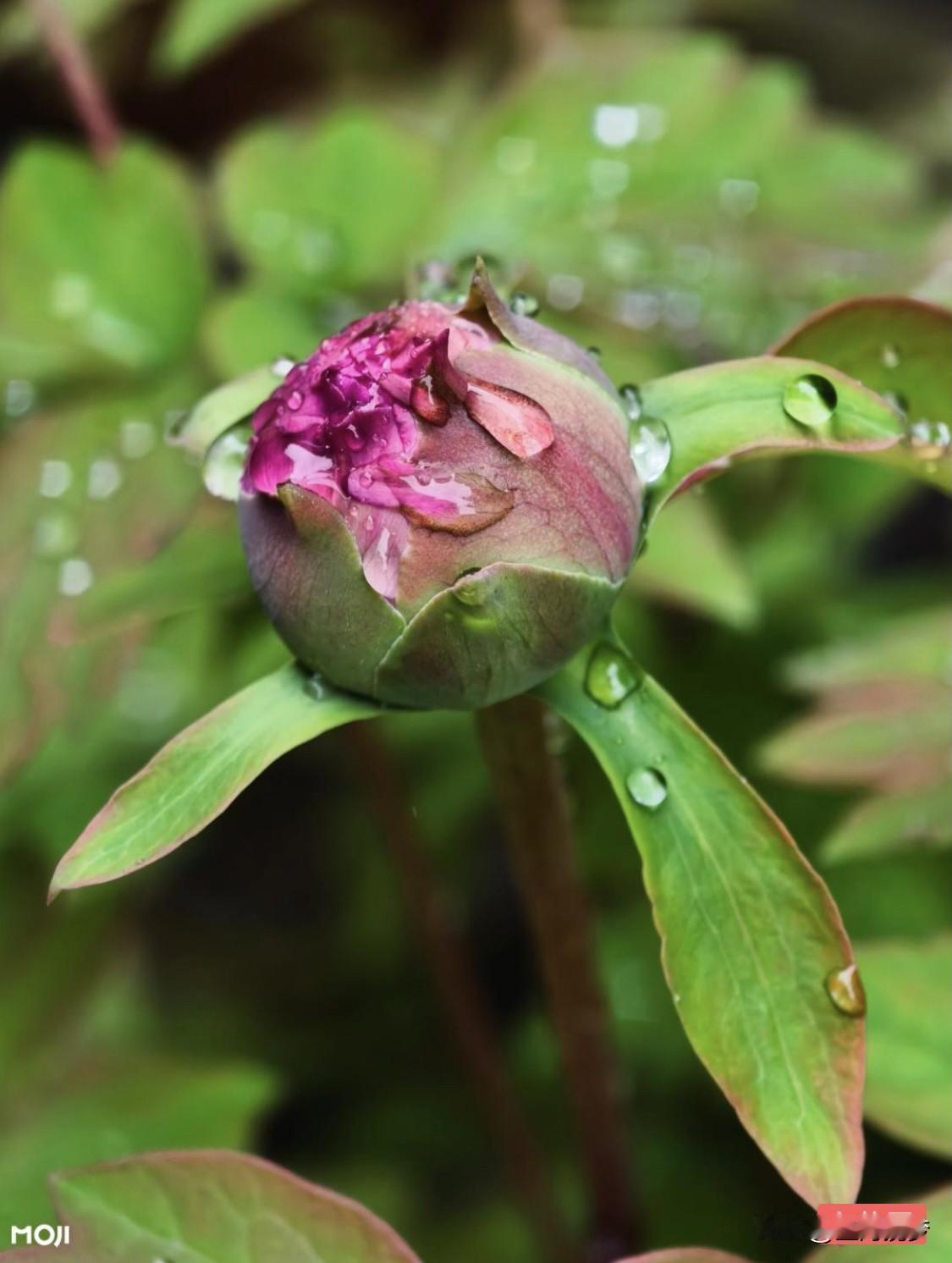 当父母不在的时候，我觉得家的意义变了。
年轻的时候不懂，总觉得父母会一直在，忙着
