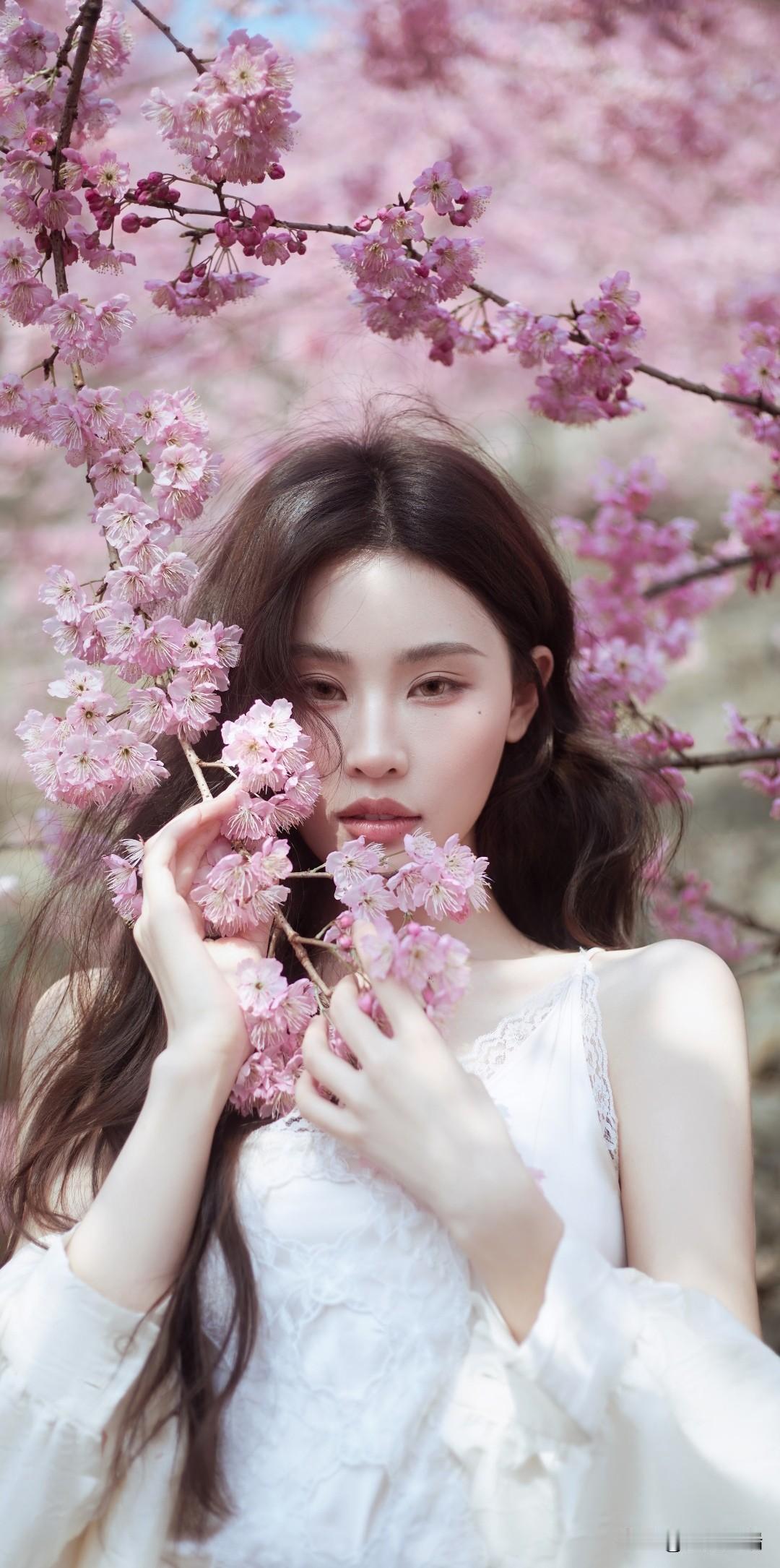 花落人如梦，春去意难留。