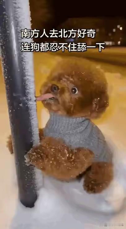 看你下次还敢吗